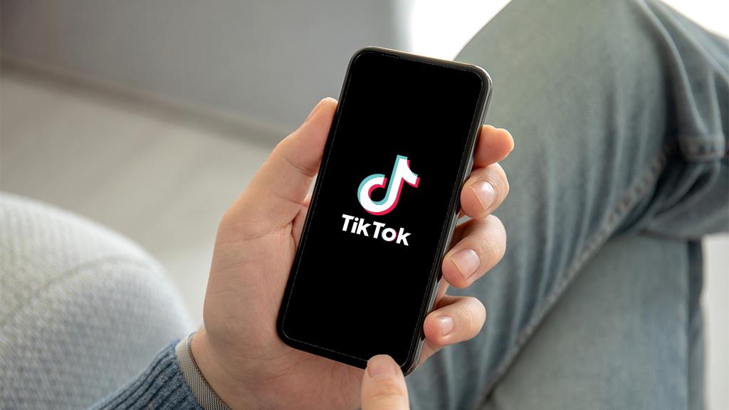 Ultimate Snaptik Video Downloader Tips For Tiktok Success